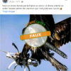 FAUX : cet aigle n’attaque pas un drone français