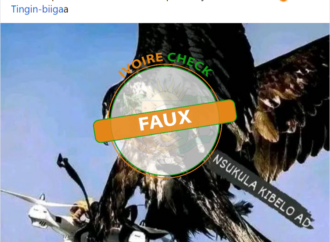 FAUX : cet aigle n’attaque pas un drone français